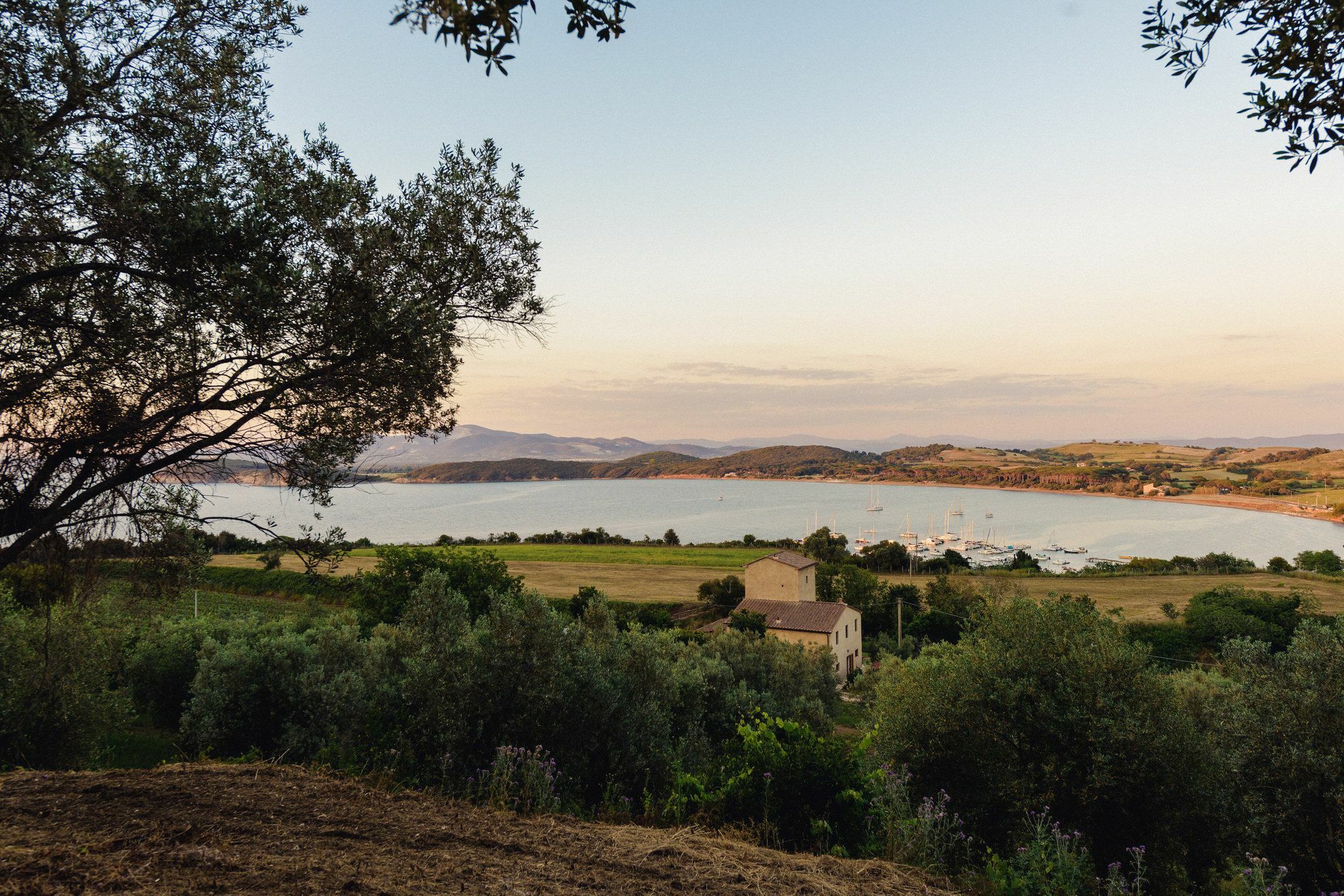 Torre Di Baratti Bio Resort Populonia Exteriör bild
